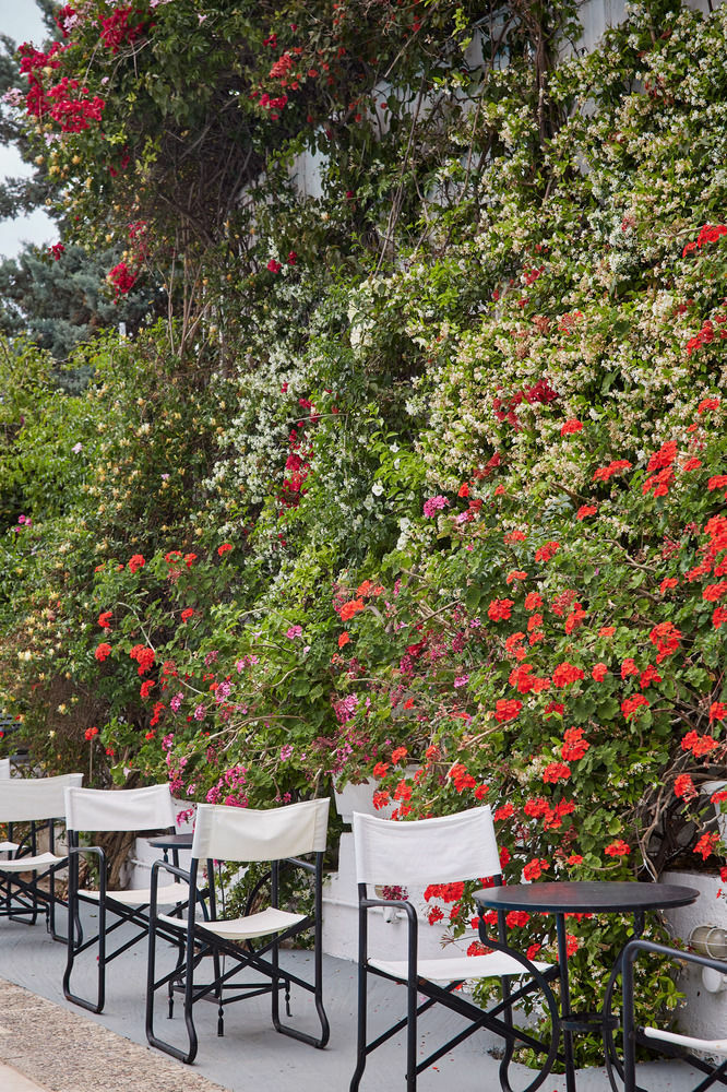 Spetses Retreat Accommodation Exterior photo